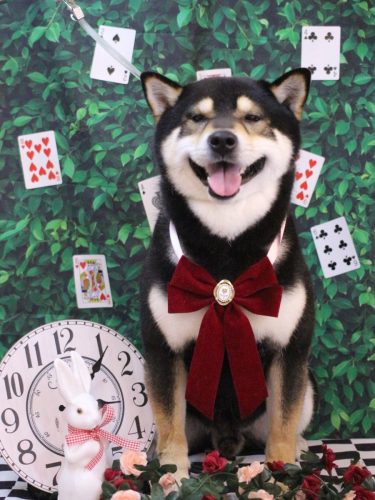 20250419ココくん